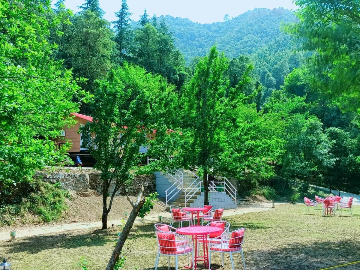 Aaroham Resort Shimla ! Luxury Cottage By Aamod Group מראה חיצוני תמונה
