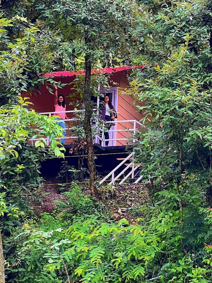 Aaroham Resort Shimla ! Luxury Cottage By Aamod Group מראה חיצוני תמונה