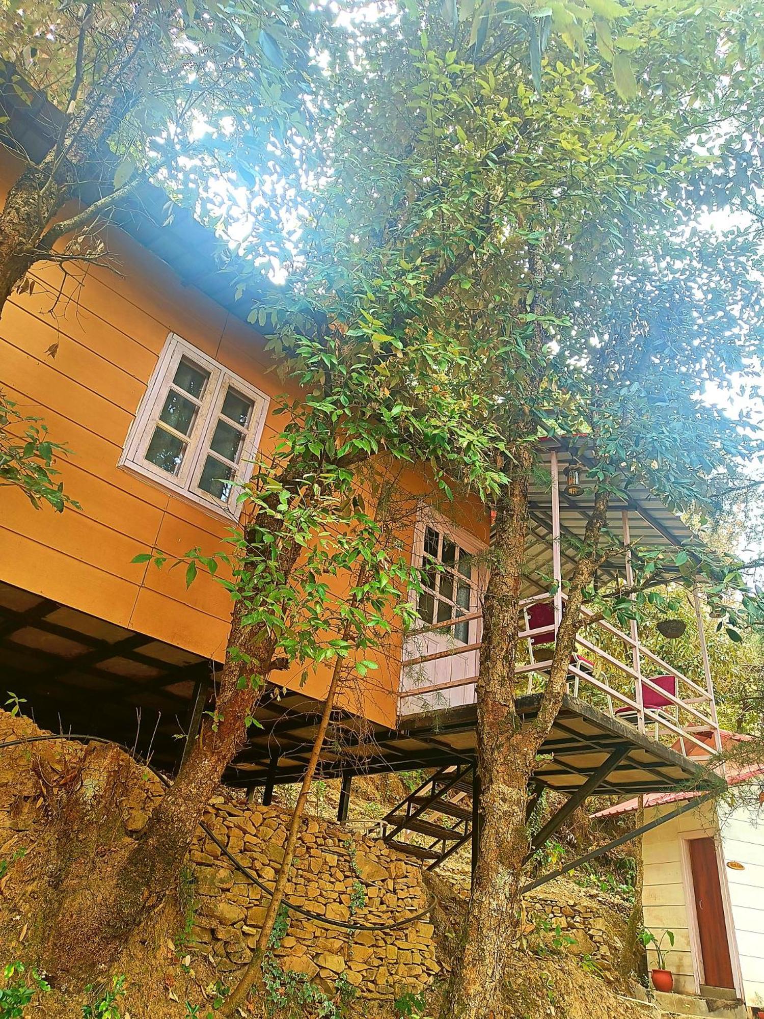 Aaroham Resort Shimla ! Luxury Cottage By Aamod Group מראה חיצוני תמונה